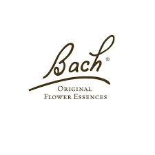 Bach Logo